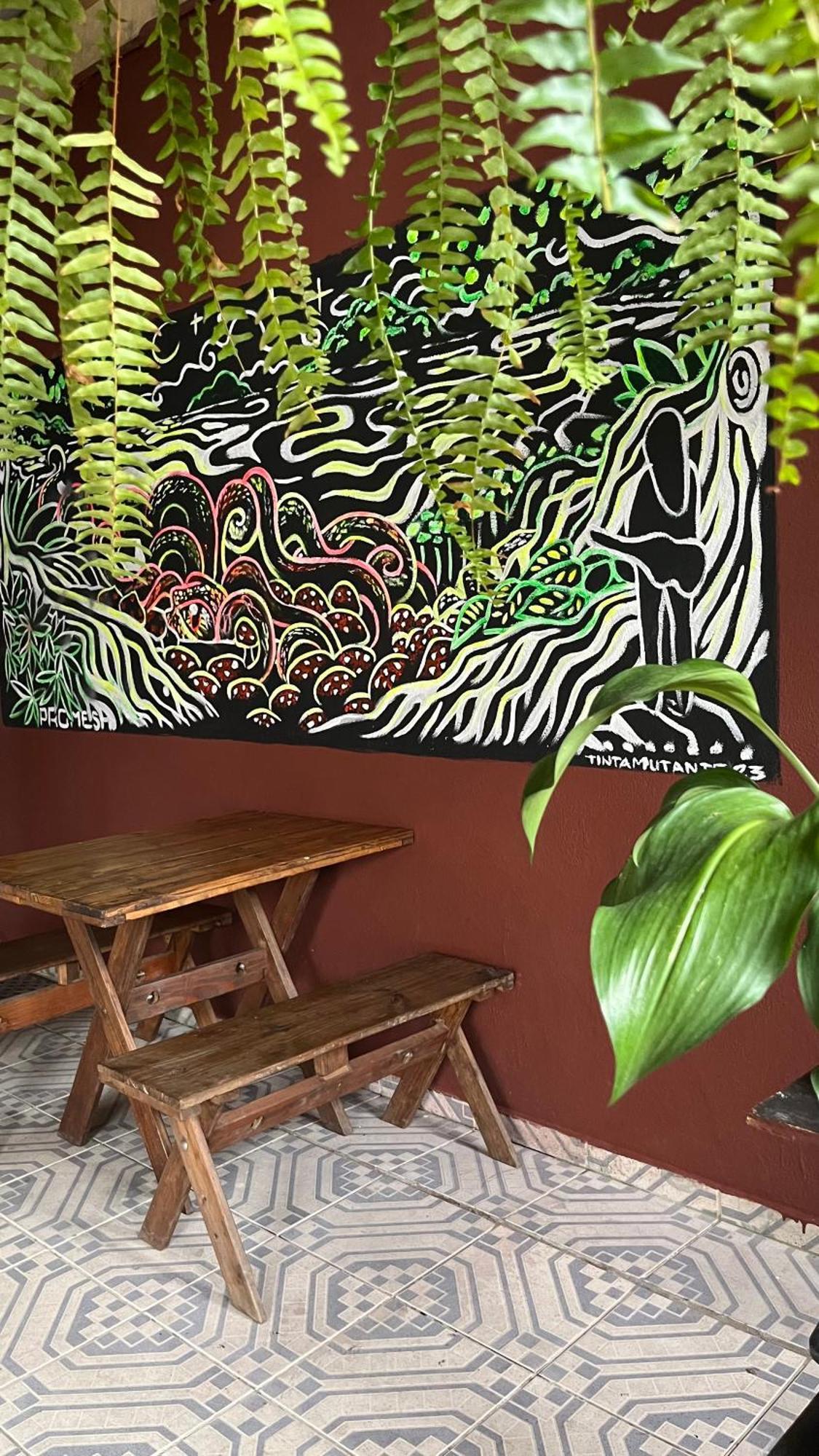 Hostel Embauba باراتي المظهر الخارجي الصورة