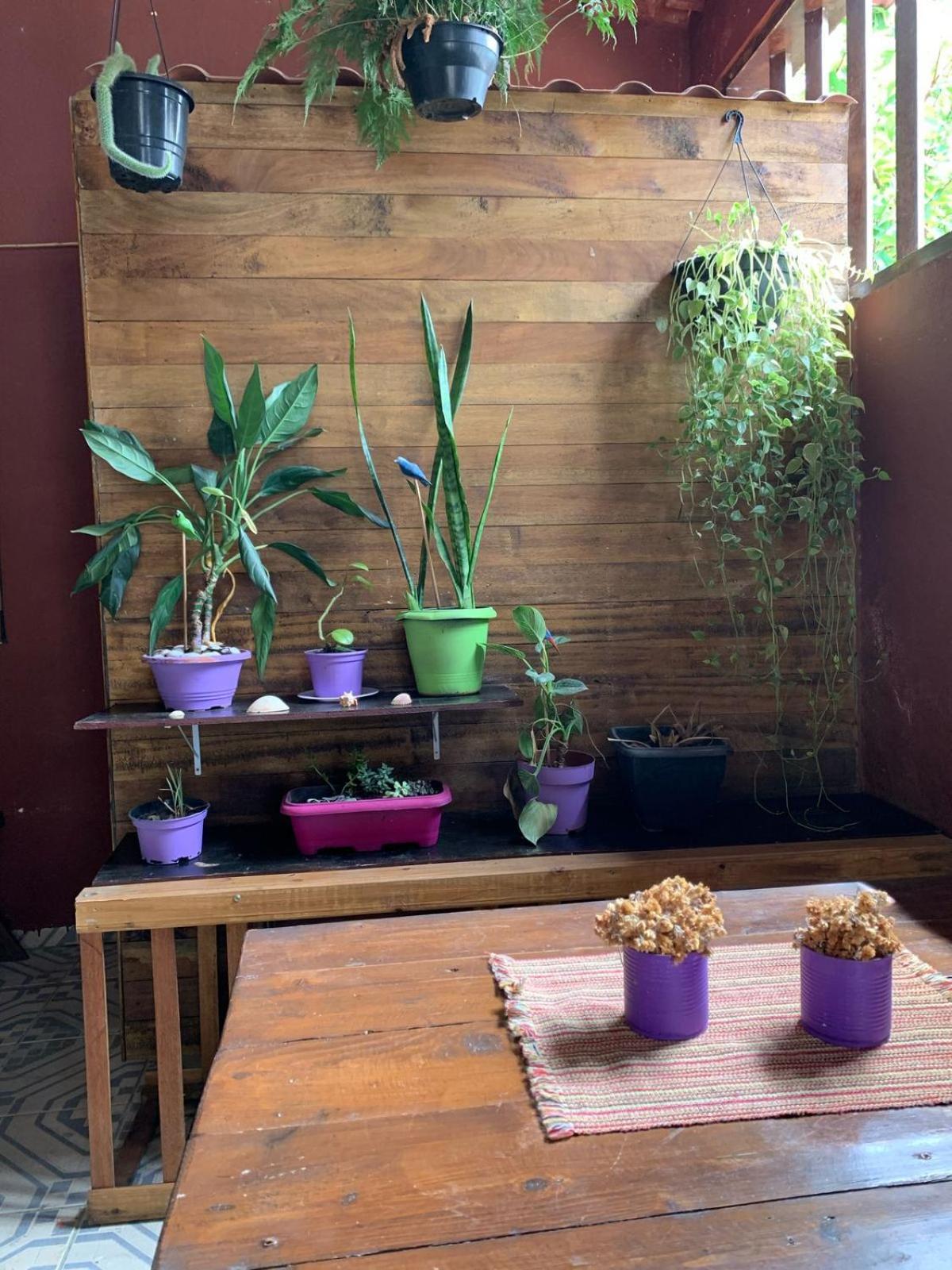 Hostel Embauba باراتي المظهر الخارجي الصورة